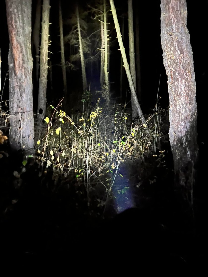 Осемгодишният Александър е изчезнал в района на Профилакториума в Перник,