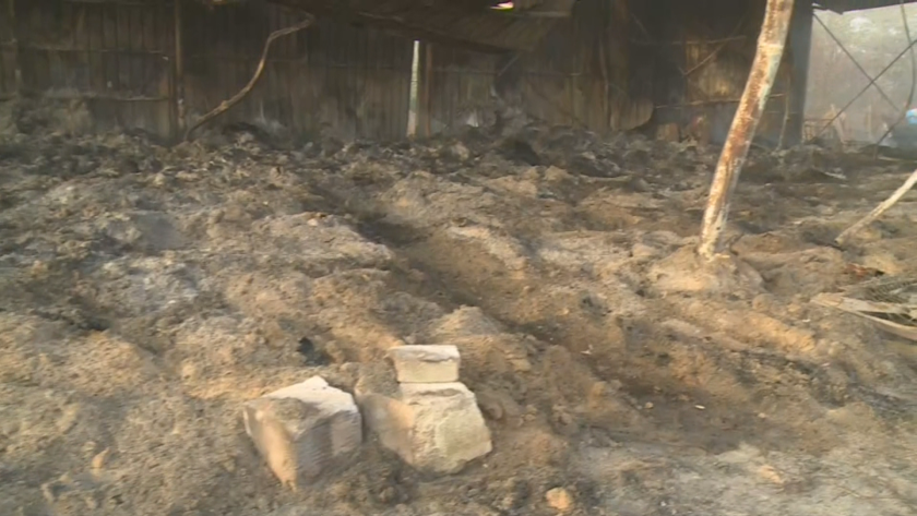 Умишлен палеж унищожи почти напълно животновъдното стопанство на двама братя