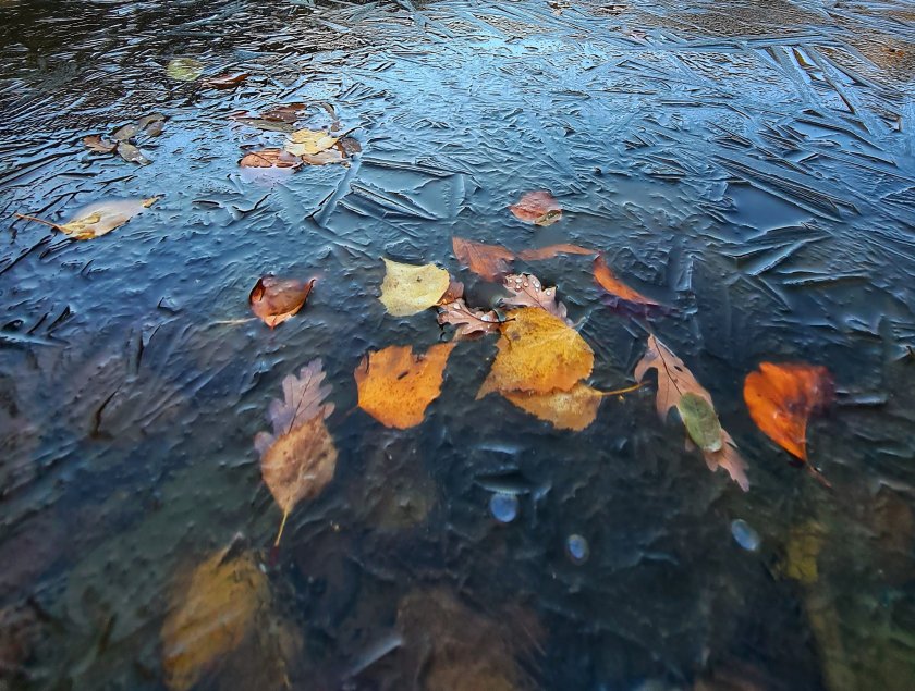 Дъжд и гръмотевични бури през почивните дни, сняг в понеделник