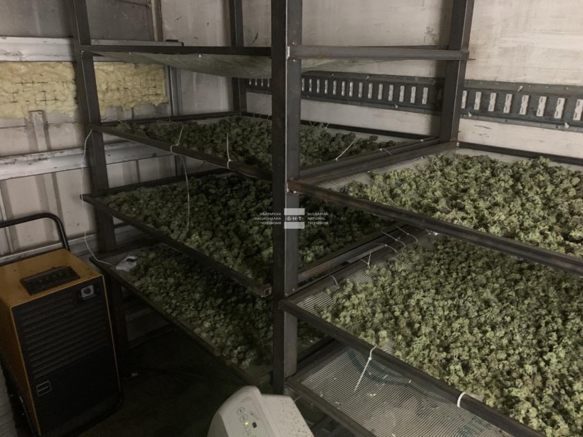 За операции срещу наркоразпространението в цялата страна съобщават от МВР