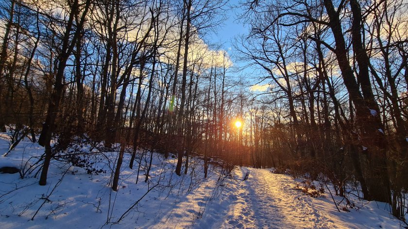 Затопляне в близките дни