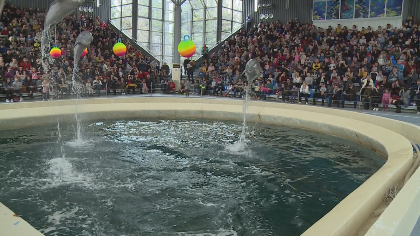 Очаква се Делфинариумът във Варна да бъде разширен, за да