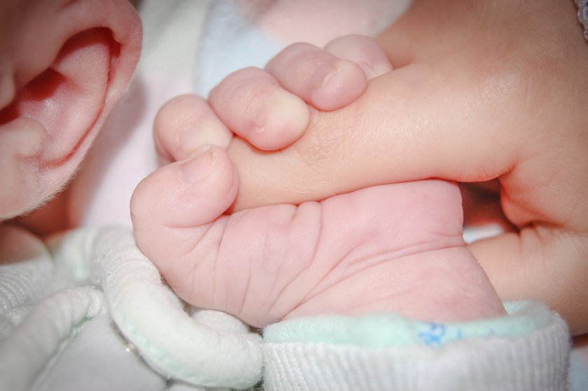 инвитро бебета родени помощта община варна 2021