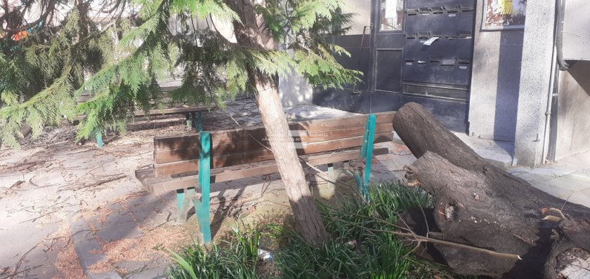 Три момичета са откарани за преглед в болница, след като