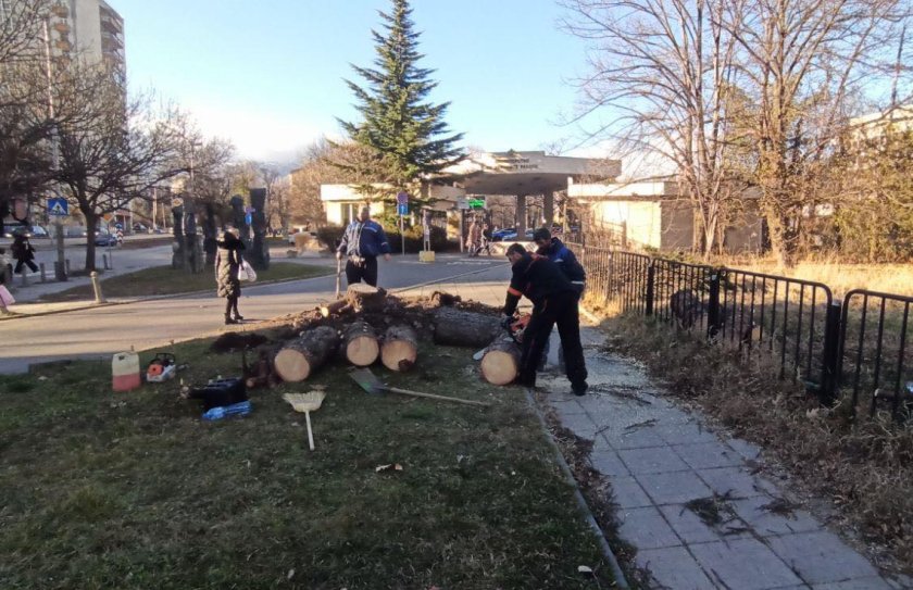 Силният вятър вдигна на крак и аварийните екипи на Столчината