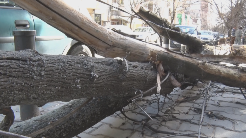Силният вятър в Стара Загора причини щети върху четири автомобила (ВИДЕО)