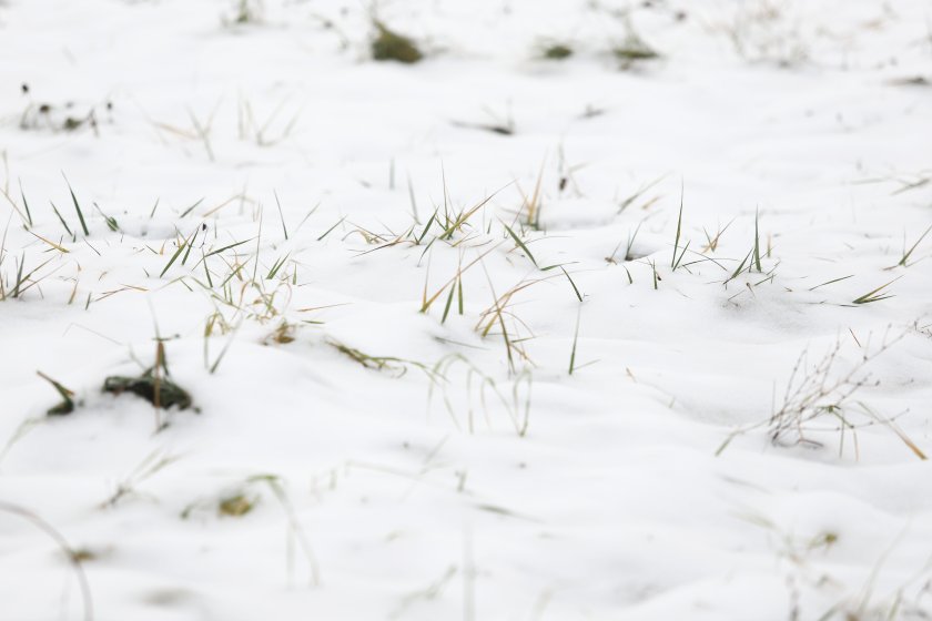 Обилни снеговалежи и условия за поледици в четвъртък