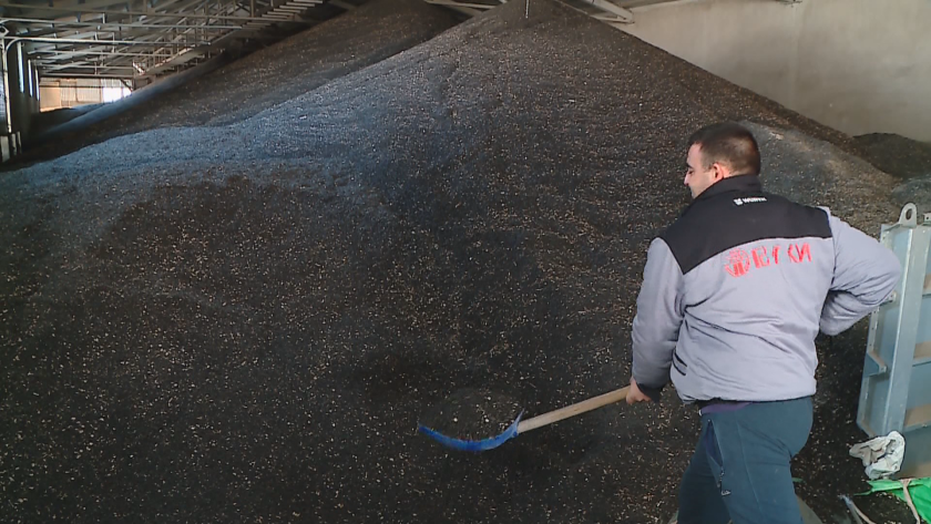 Български производители недоволстват заради вноса на слънчоглед от Украйна