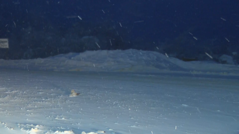 Пътната обстановка: На прохода Шипка отново вали сняг, шофьорите да карат внимателно