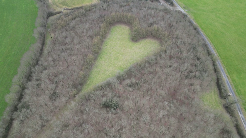 Фермер засади ливада с форма на сърце в Англия