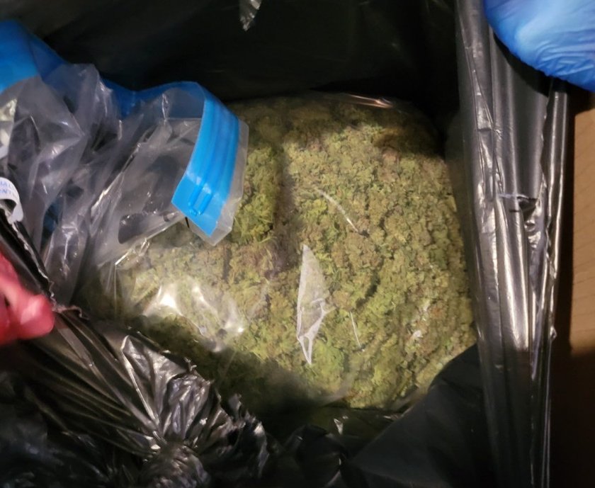 Спецполицаи във Варна задържаха 7 кг марихуана
