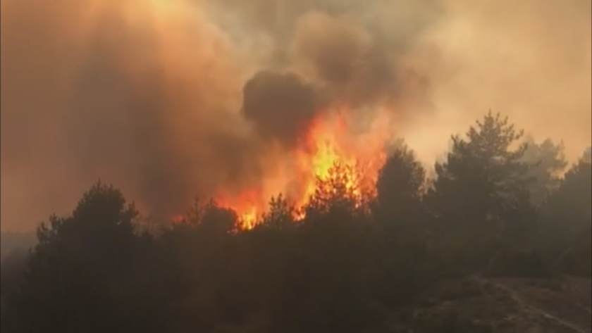 Пожар гори в района на Елешница, община Разлог. От ЮЗДП