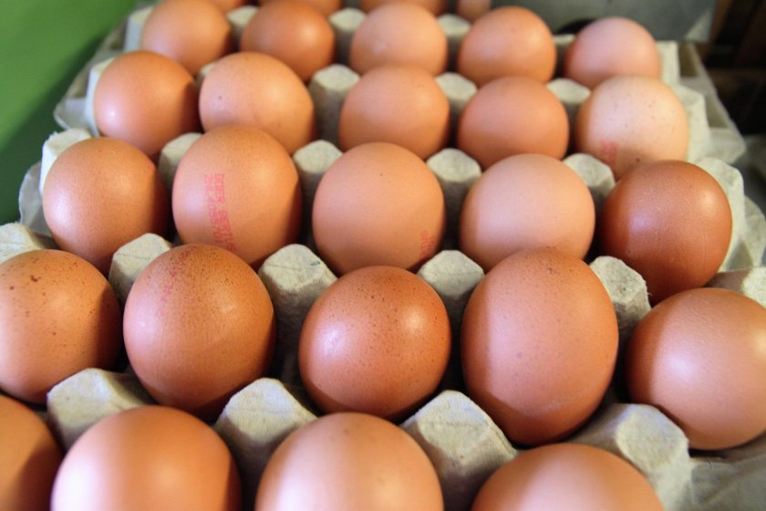Няма да има промяна в цената на яйцата преди Великден.