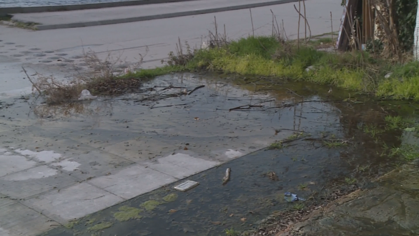 Зрители на БНТ сигнализираха, че вече месец по крайбрежната алея