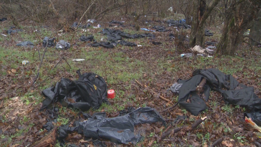 Откъде влизат бежанците в страната ни? Как става предаването на