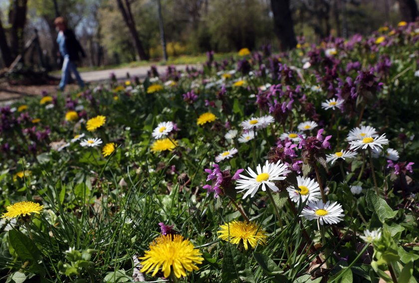 Съществено застудяване и валежи предстоят през следващата седмица, но преди