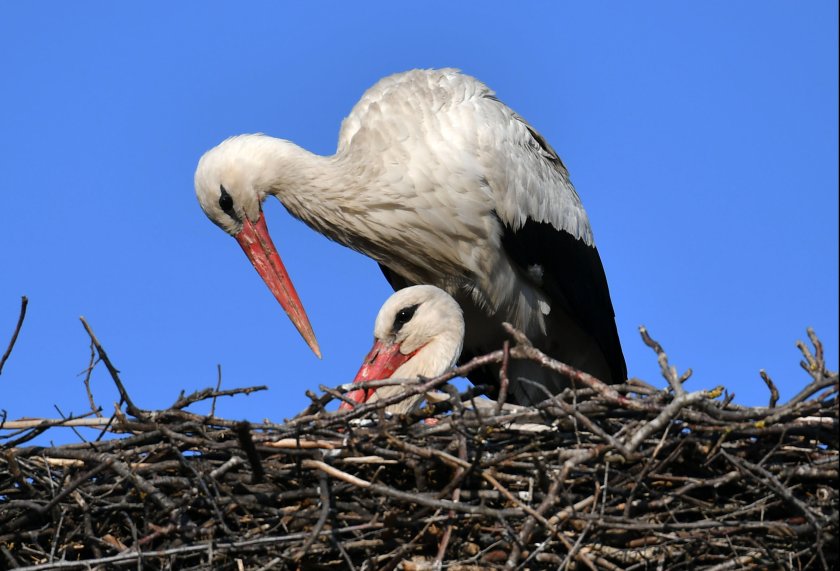 Над Западна България облачността ще продължи да се увеличава и