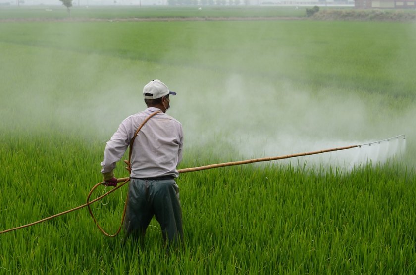 100 тона загробени пестициди открити проверки разпоредени вап мосв