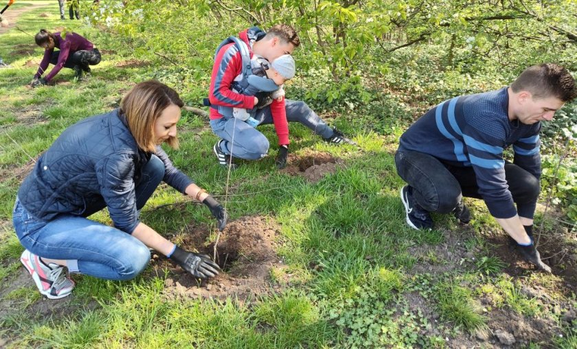 БНТ засади нова гора в Ловния парк в София (СНИМКИ/ВИДЕО)