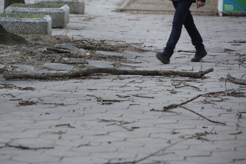 екипи столична община отстраняват щети силния вятър
