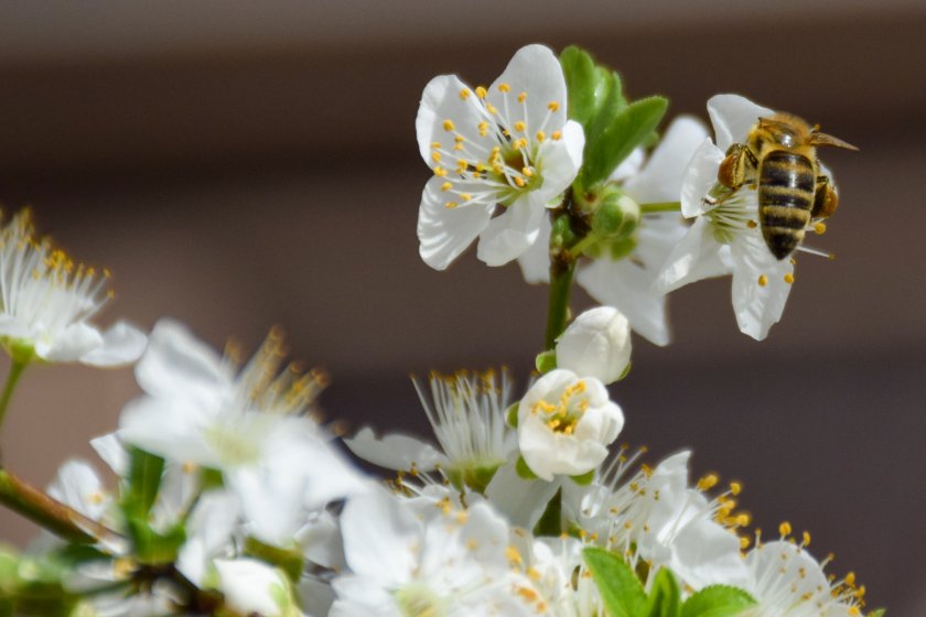 През деня увеличението на облачността ще продължи и около и