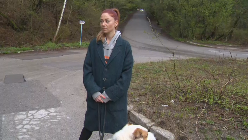 Заплаха с пистолет по време на разходка с куче на Витоша