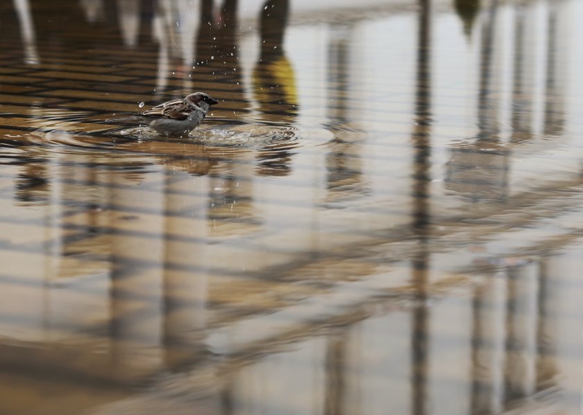 Ще преобладава облачно време. На много места ще има валежи