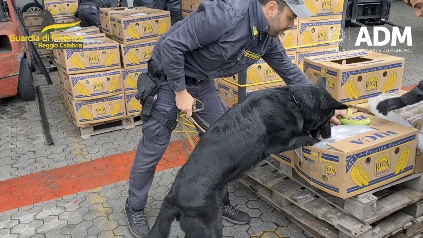 кокаин стойност 800 млн евро скрит контейнери банани откри полицията италия