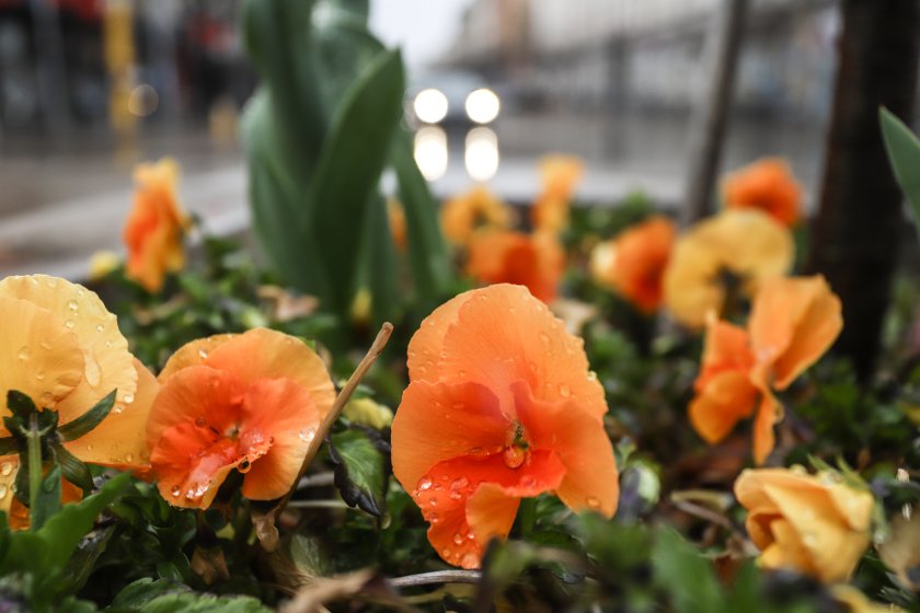 Днес над по-голямата част от страната ще е предимно облачно,