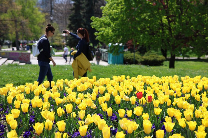 В сутрешните часове на места в равнините и котловините видимостта