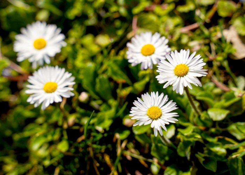 Днес максималните температури ще достигнат 20°- 25°, в София -