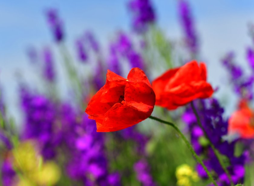 Днес се очаква да вали на още по-малко места, само