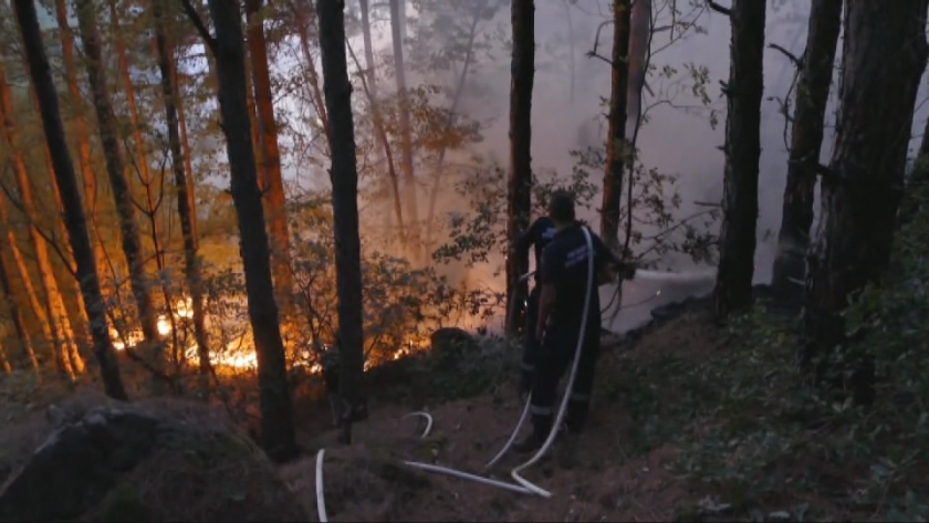 Начало на пожароопасния сезон обявиха в Югозападна България.Горите и селските