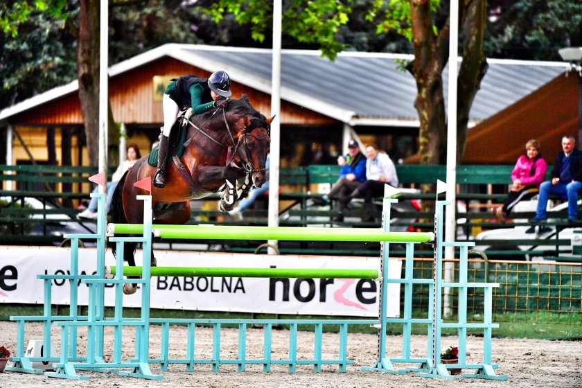 ивана ангелова участва европейското първенство конен спорт