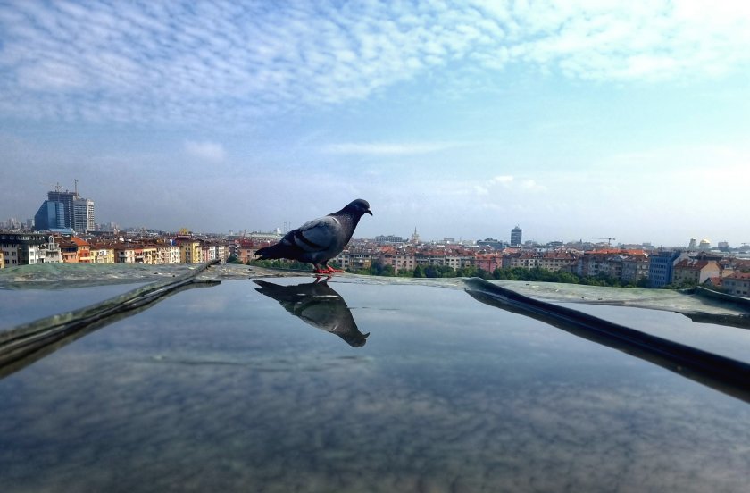 Днес ще е предимно слънчево. След обяд ще се развива