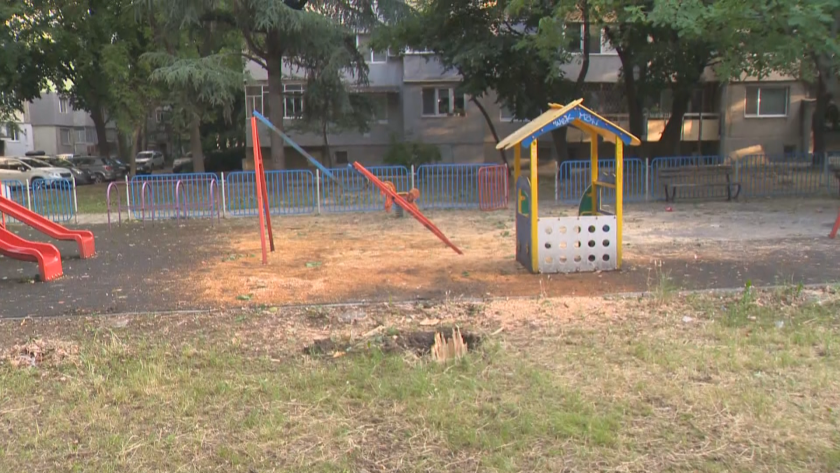 Огромно дърво падна върху детска площадка в Русе.Инцидентът е станал