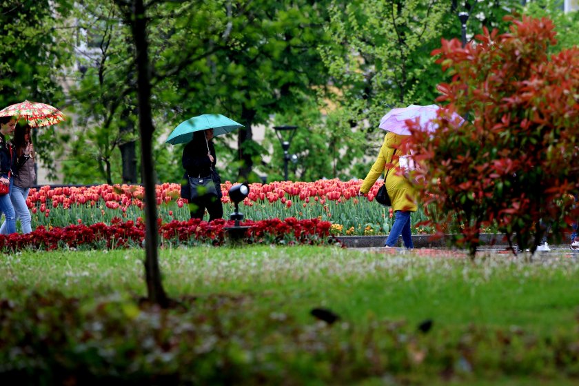 Дъждовната обстановка в страната продължава - 54 л/кв.м са измерените