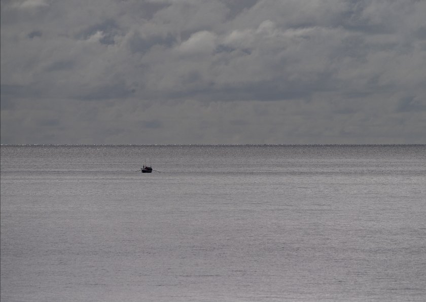 осем датчани бяха спасени тихия океан сблъсък кит
