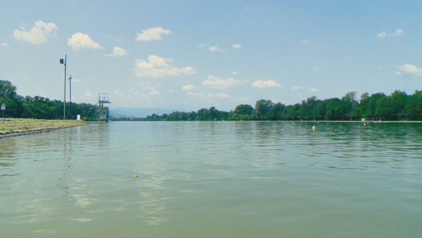 Нашествие от комари в парковете и крайречните зони в Пловдив