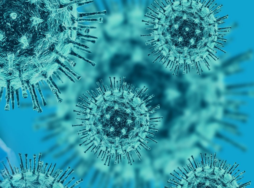40 са новите случаи на коронавирус, направени са 1735 теста,