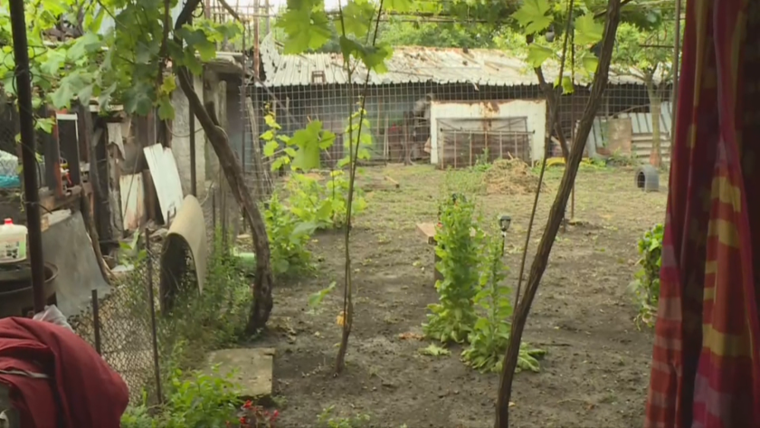 Пороен дъжд наводни десетки къщи в град Девня вчера в