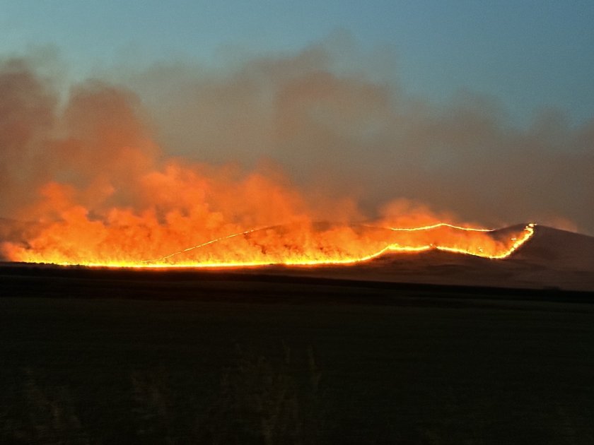 Голям пожар гори край бургаското село Изворище