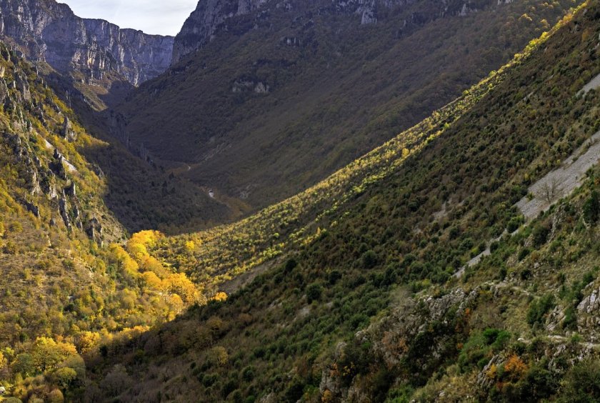 Двама туристи са били спасени при падане в дере край