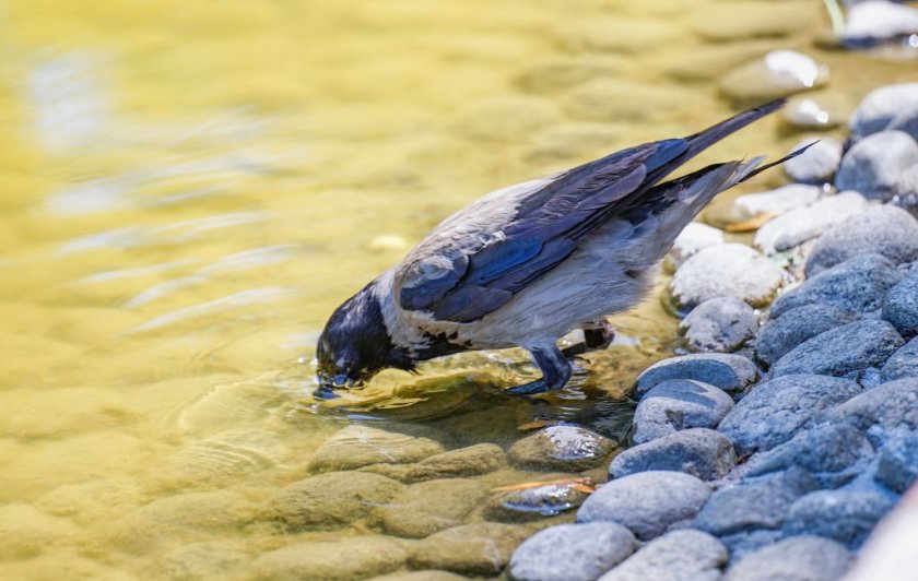 И през нощта в много райони от страната имаше валежи.