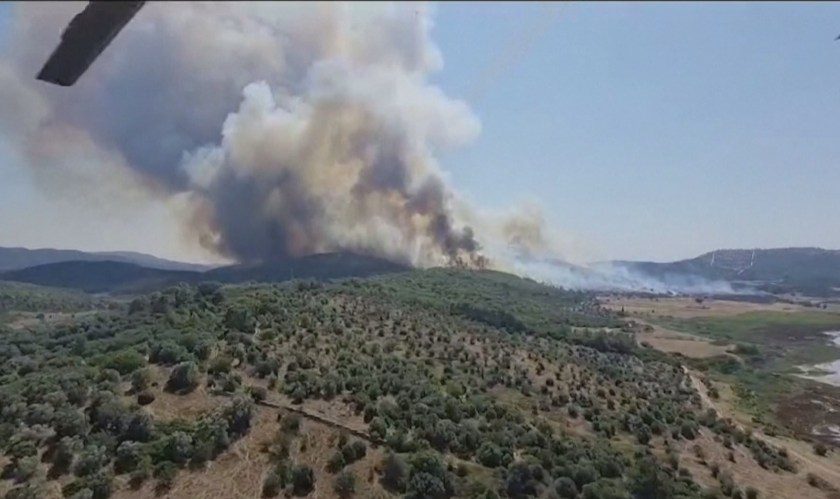 Жегите в Европа: Горски пожари в Турция, в редица страни живакът прехвърли 40°