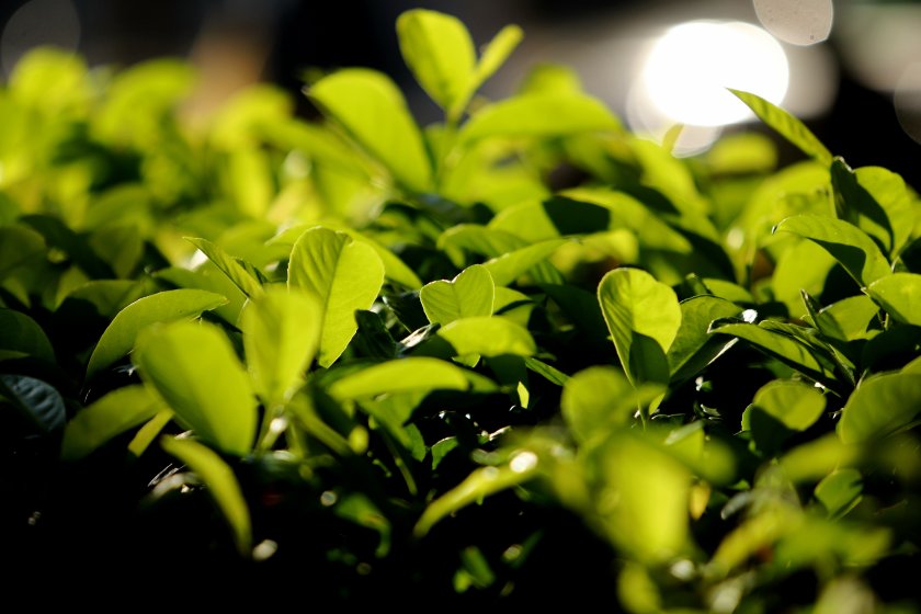 Все по-горещо ще бъде през новата седмица - температурите ще