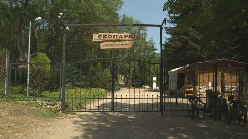 Тежък инцидент. Токов удар е поразил 4-ма души, докато са