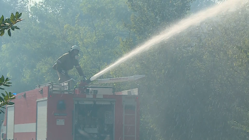 Екипи от огнеборци гасят горски пожар с три огнища край