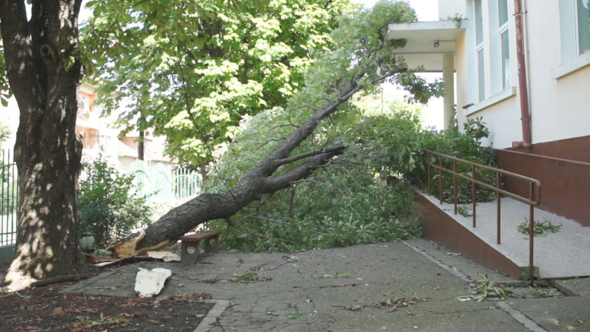 Продължава разчистването на засегнатите от бурята райони в община Бяла