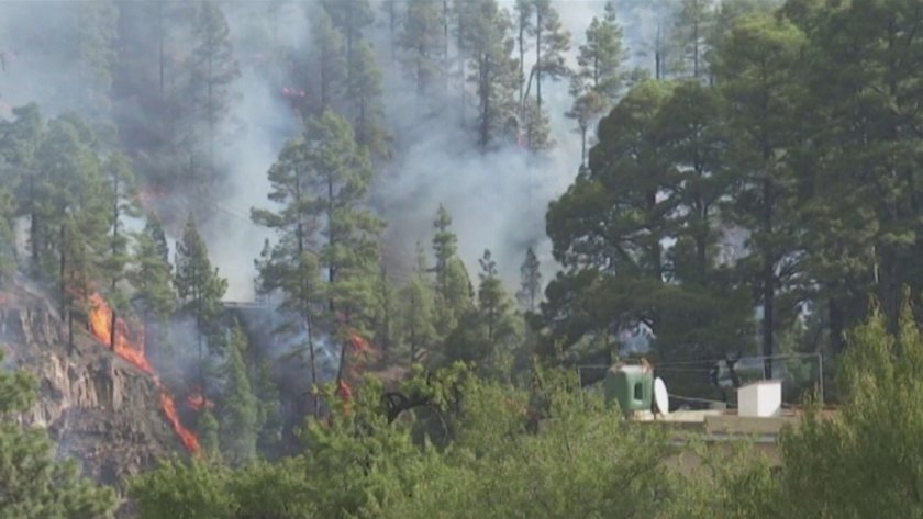 Продължава евакуацията от Ла Палма заради големия пожар, причинен от жегите